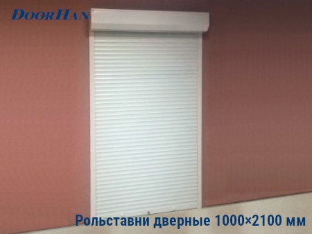 Рольставни на двери 1000×2100 мм в Костроме от 34993 руб.