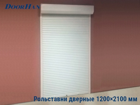 Рольставни на двери 1200×2100 мм в Костроме от 38546 руб.